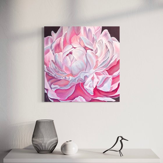 Pink peony