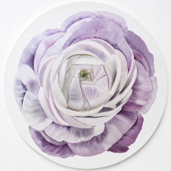 Petals of Light spring flowers blossoms peony