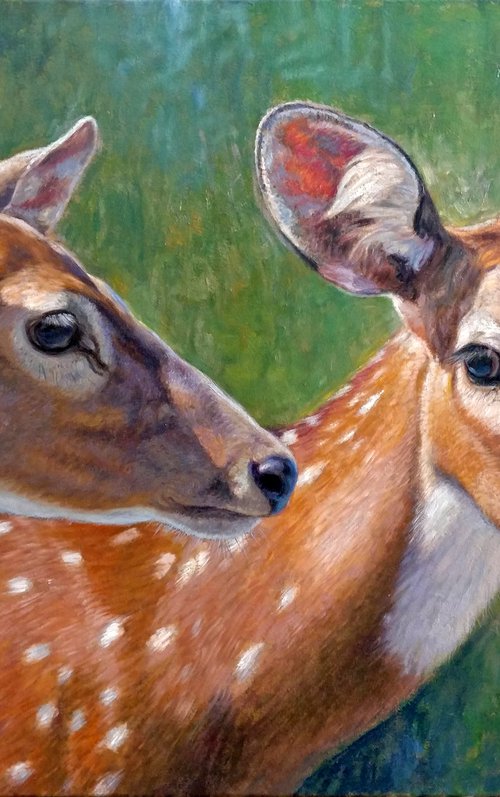 Spotted deers by Gabriel Hermida