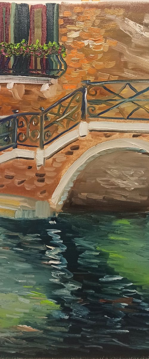 One of the many bridges of Venice by Dmitry Fedorov