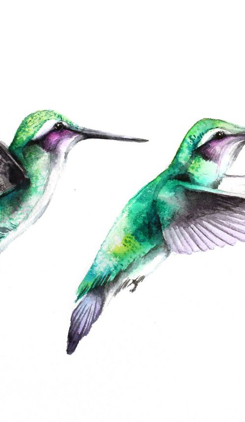 Hummingbirds, wildlife, birds and nature watercolour by Karolina Kijak