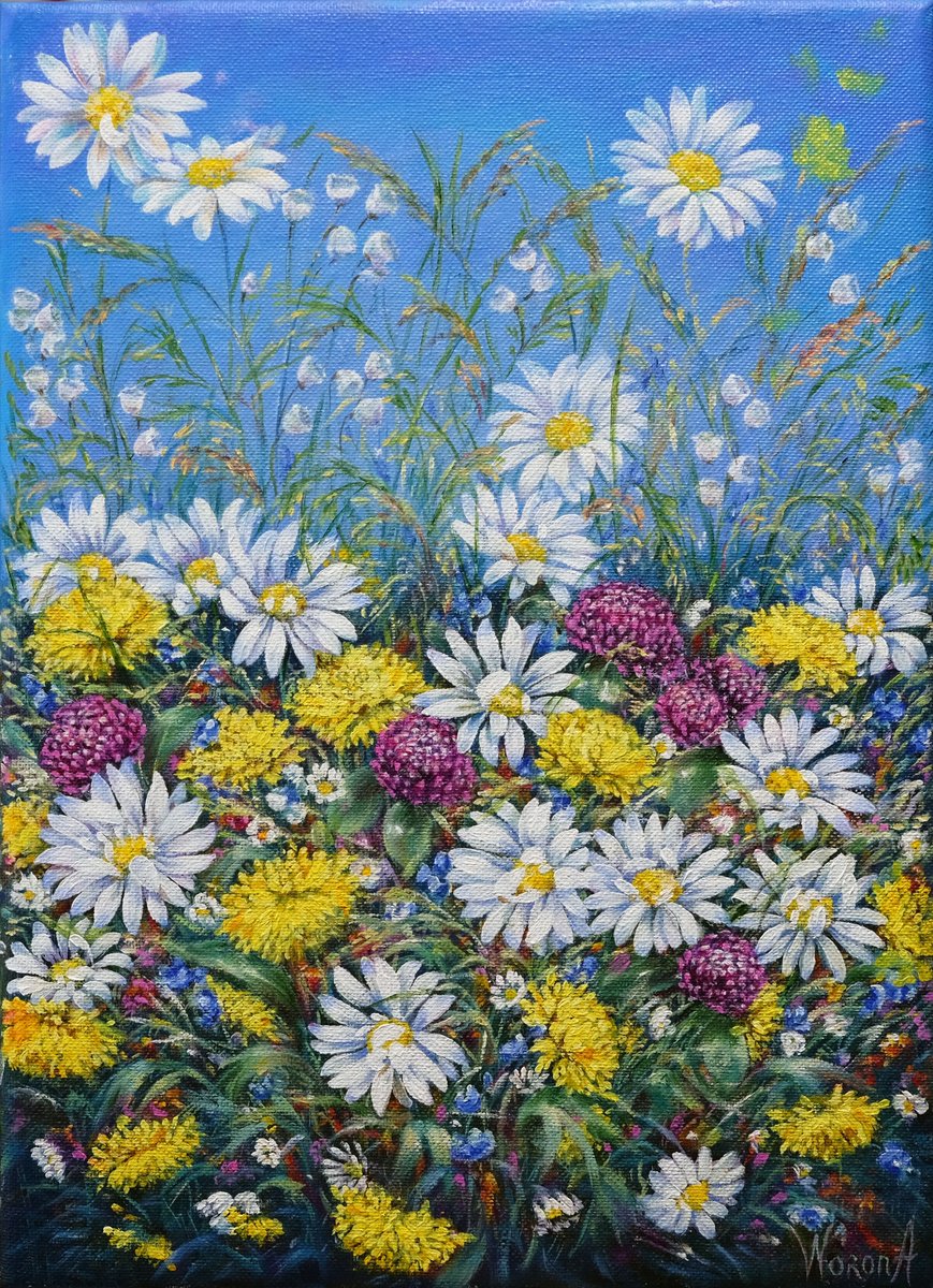 Impressionistic Botanical Oil Painting By Anastasia Woron, 9 X 13, Daisies And Wildflowers., Original Artwork