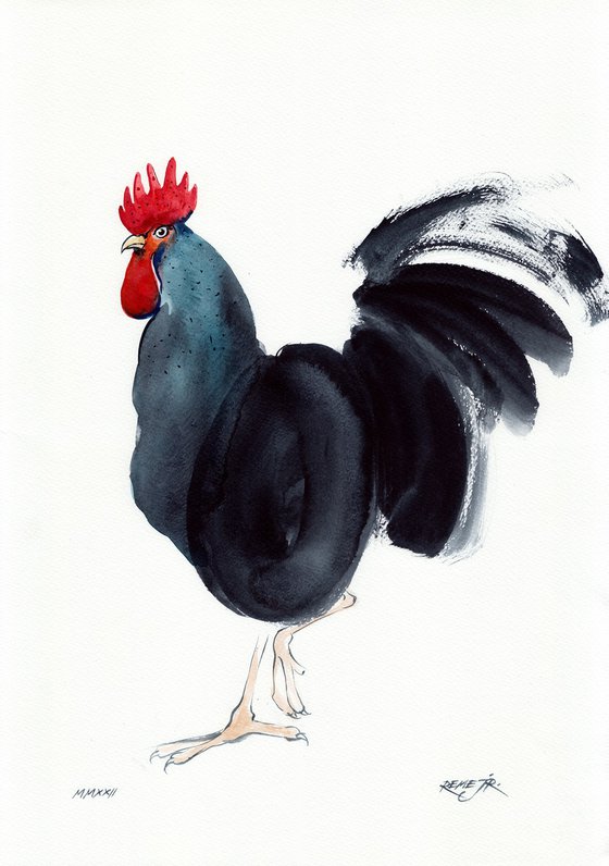 Bird CCLIV - Rooster