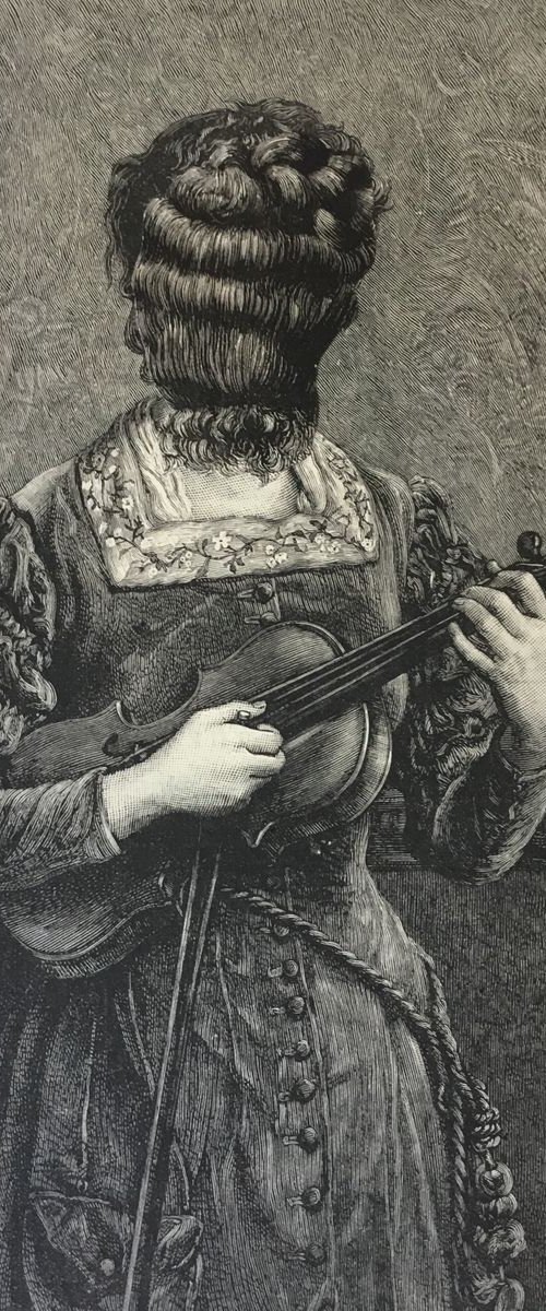 Pizzicato by Tudor Evans
