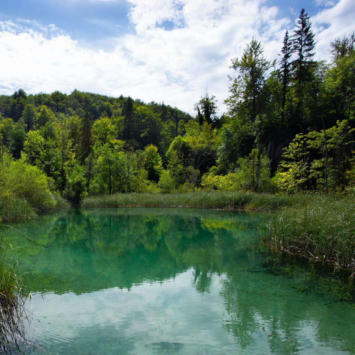 Photorealistic Photograph , Stillness - Plitvice Lakes By Chiara Vignudelli, 12 X 12, Artwork For Sale On Artfinder