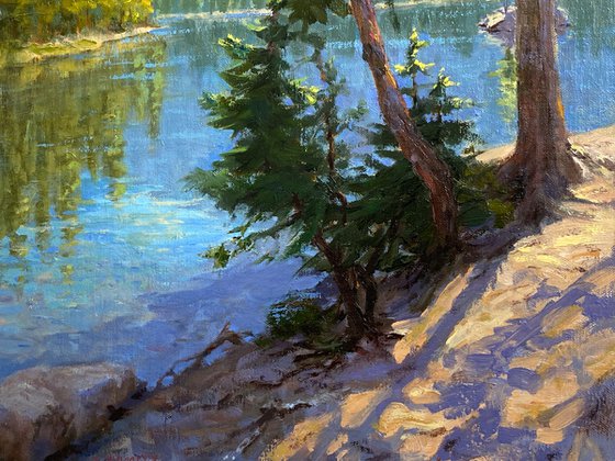 Lake Guardians