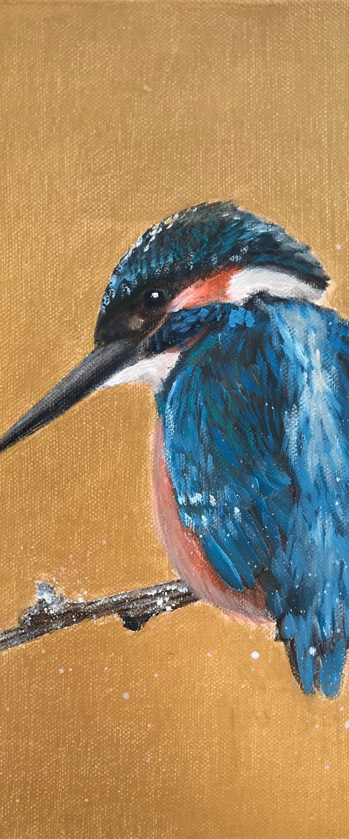 Kingfisher On Gold by Laure Bury