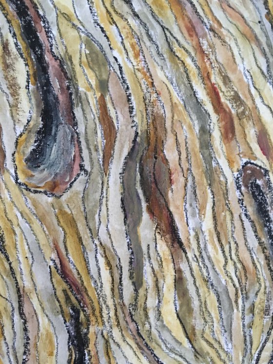 Abstract: bark II