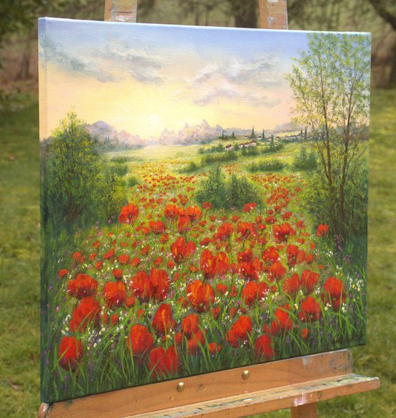 Sunrise on the poppy field