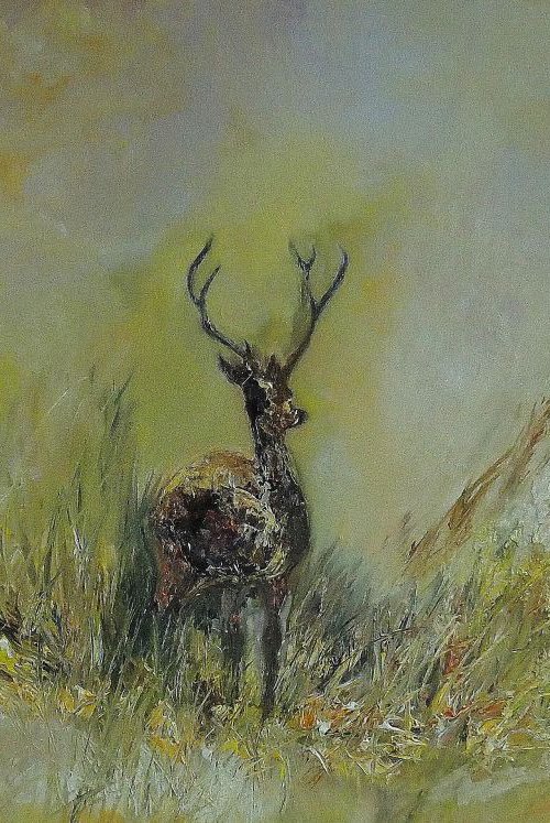 The Wild Stag by Lesley Blackburn