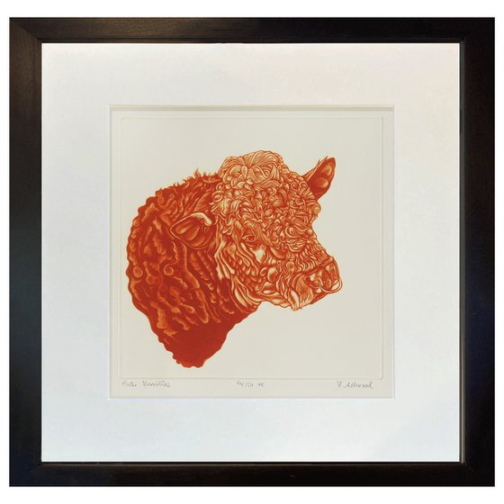 BULL PRINT - Mezzotint