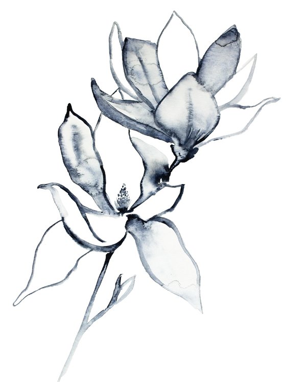 Magnolia No. 32