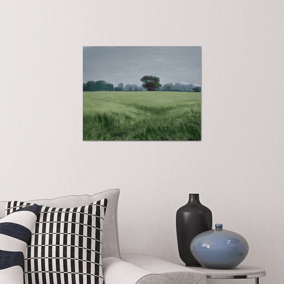 Summer field