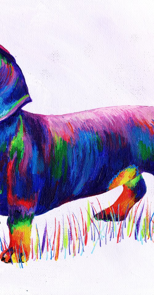 Rainbow Dachshund by Tiffany Budd