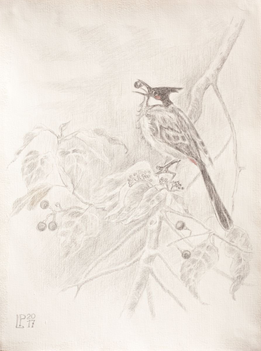 Bird on a Camphor Tree by Liudmila Pisliakova