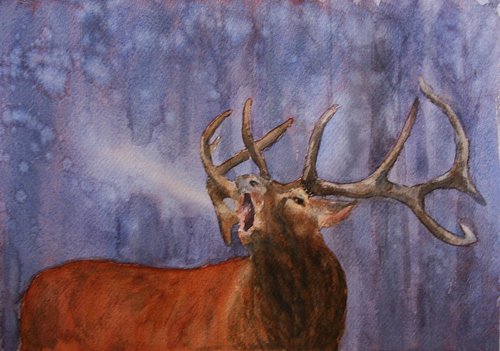 Deer / Original Painting / graceful animal / / color harmony of watercolor / a gift for you by Salana Art Gallery