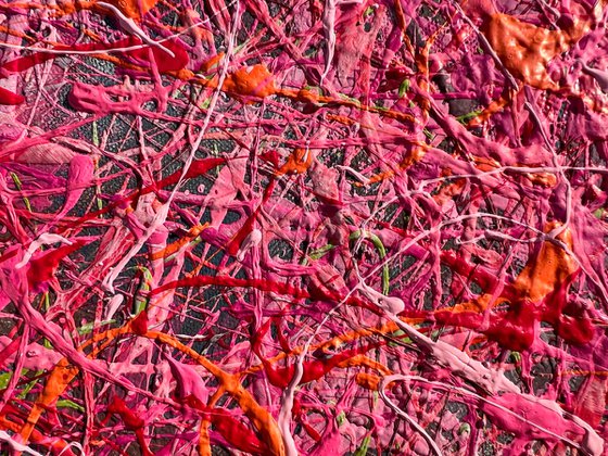 Petals of Time