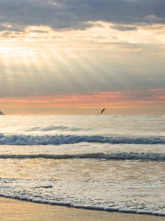 Rio - Diptych