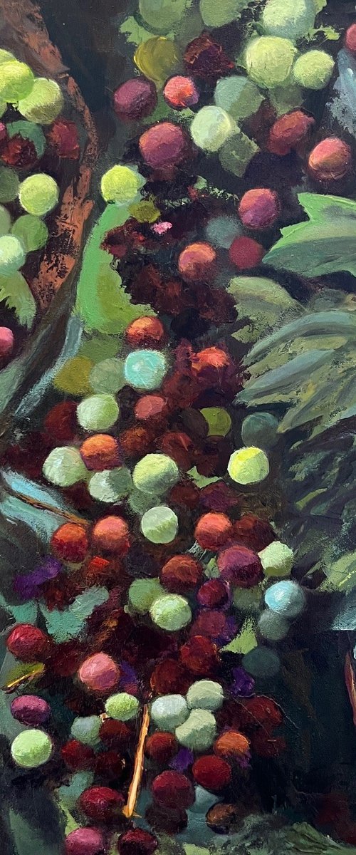 Veraison by MaryAnne McKernie