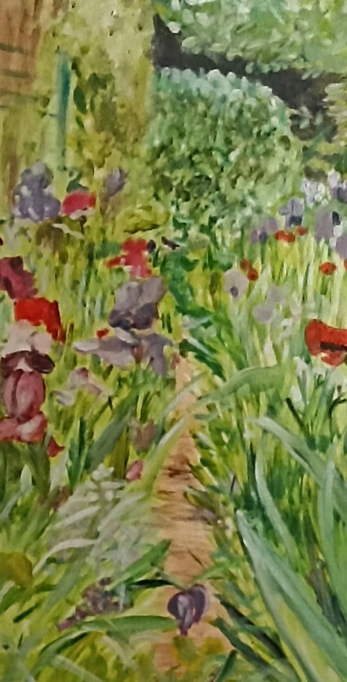 Irises garden by Isabelle Lucas