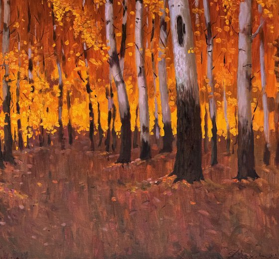 Autumn Birch Forest