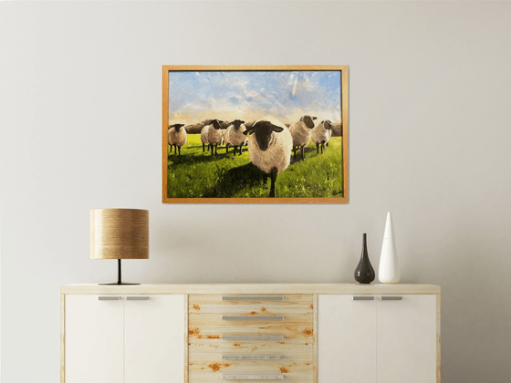 Flock of Black Face Sheep in a Field Framed