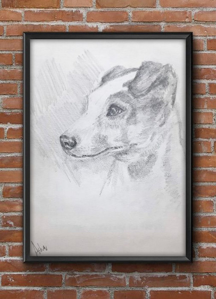 Jack Russel Terrier Portrait Pet Dog Pencil sketch on paper A4 by Asha Shenoy