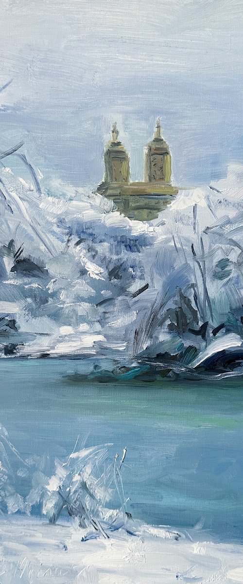 Winter in Central Park by Irina Sherbiak