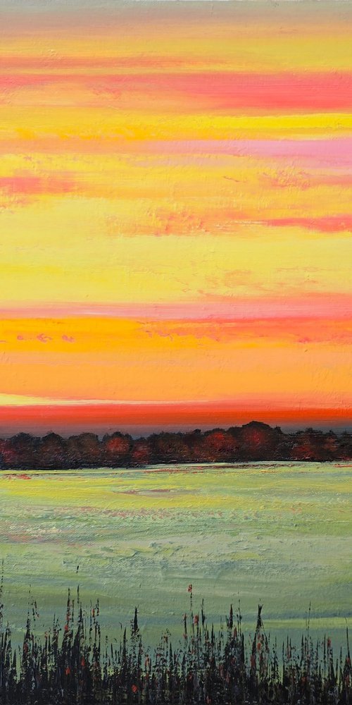 When the Meadow Dims by Faith Patterson