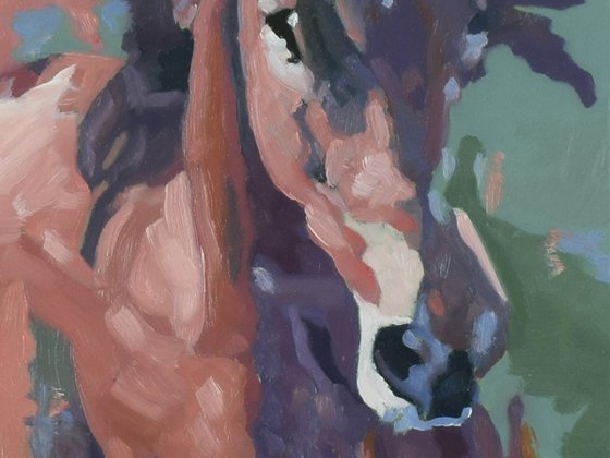 Horse Study 1 - Framed Expressive Oil Painting 17" x 21"