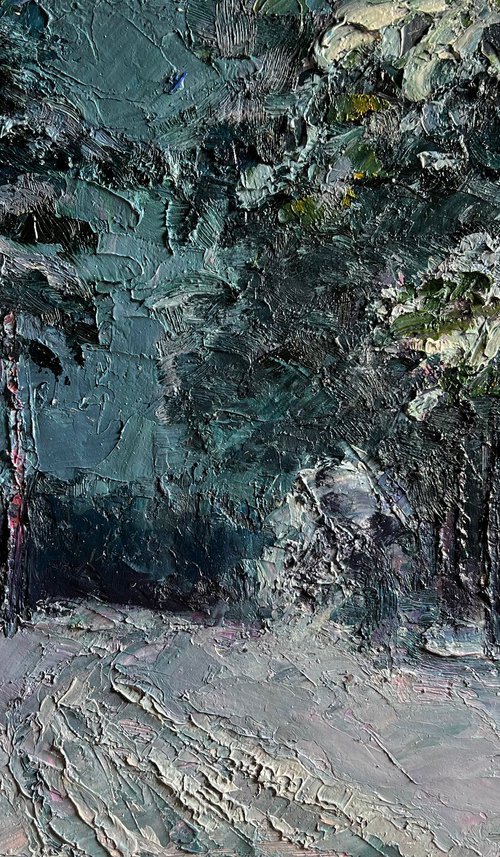 Winter Trail in the Forest by Boris Serdyuk