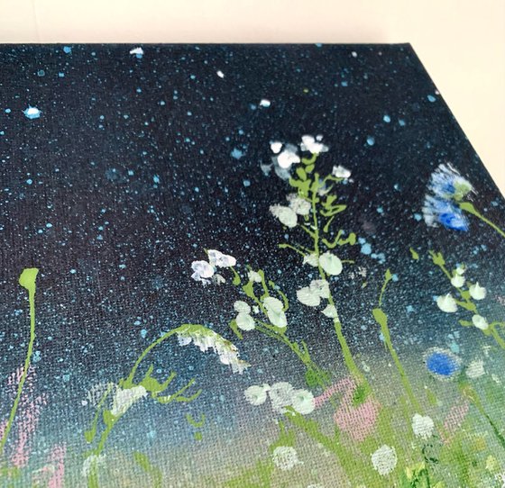 Snowdrops & Stars