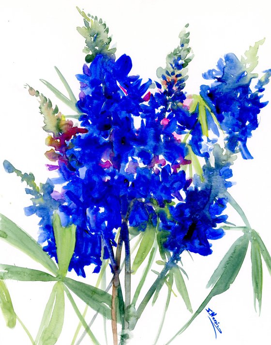 Bluebonnet Flowers