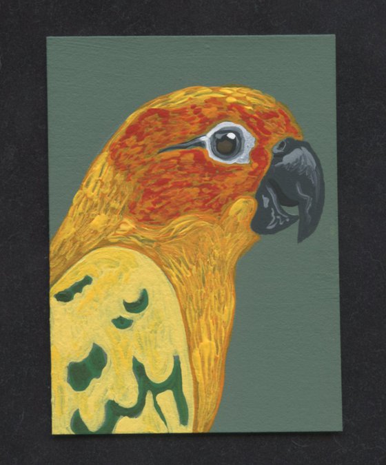 ACEO ATC Original Miniature Painting Sun Conure Parrot Pet Bird Art-Carla Smale