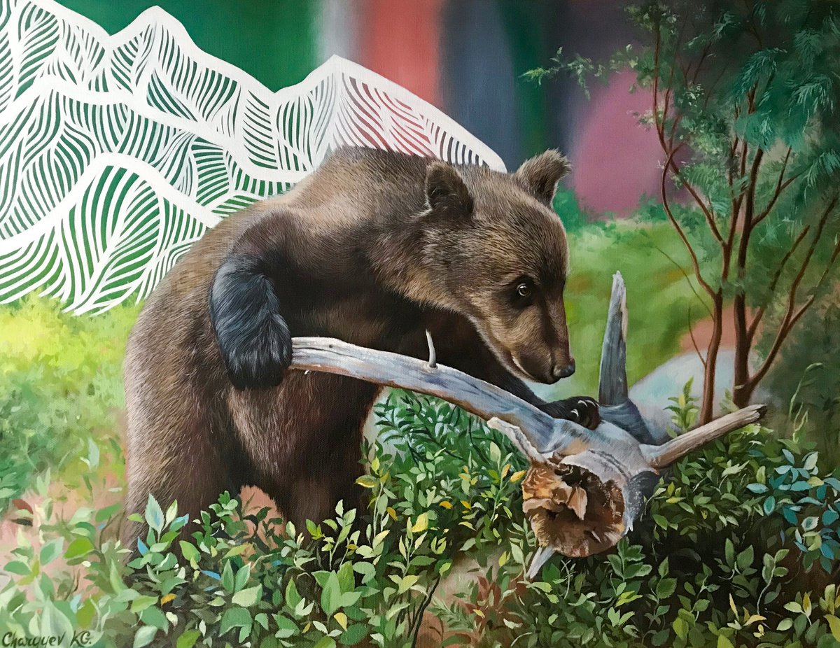The bear-cub near the driftwood. by Kakajan Charyyev