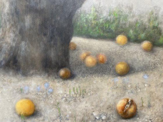 Beneath the orange tree