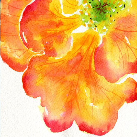 Big Blousy Orange Flower