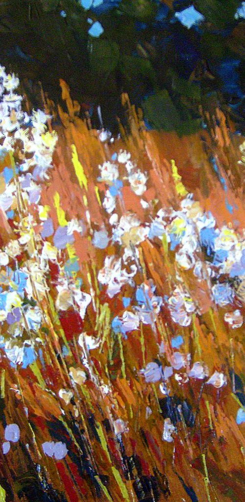 meadow grass by Sergey  Kachin