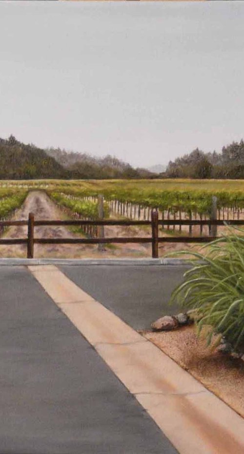 Napa Valley Vineyard by Carmen Badeau