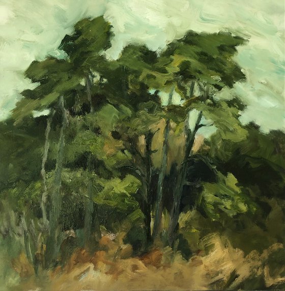 Pine Clump