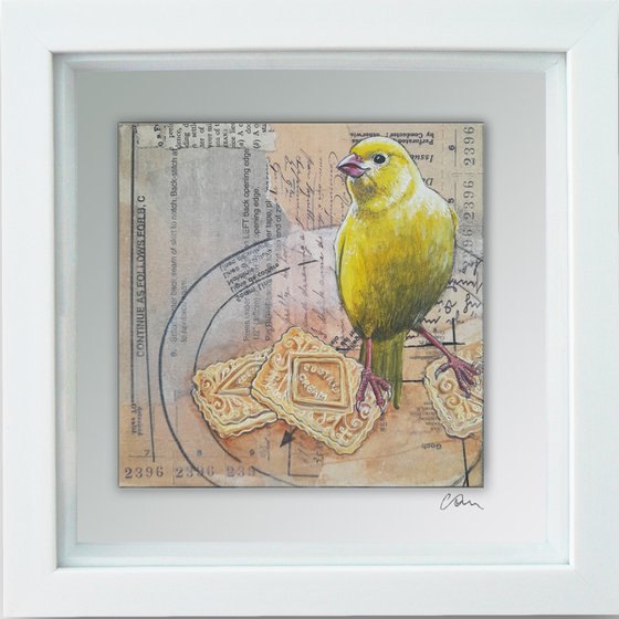 The Canary and the Custard Creams