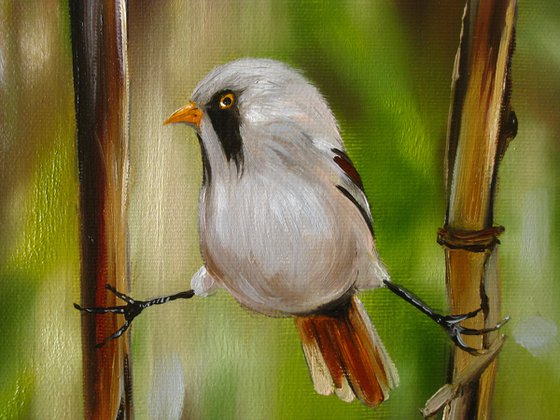 Small Bird Painting on Reeds