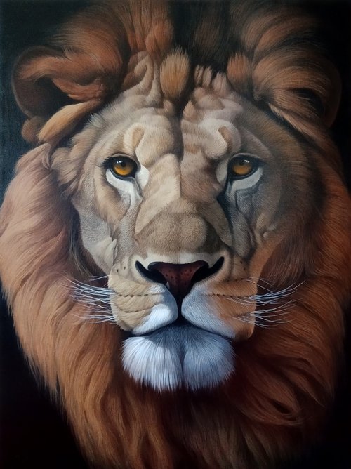 Lion portrait by Tamar Nazaryan