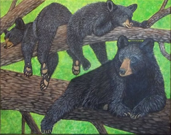 Black Bears, Mama and her Cubs