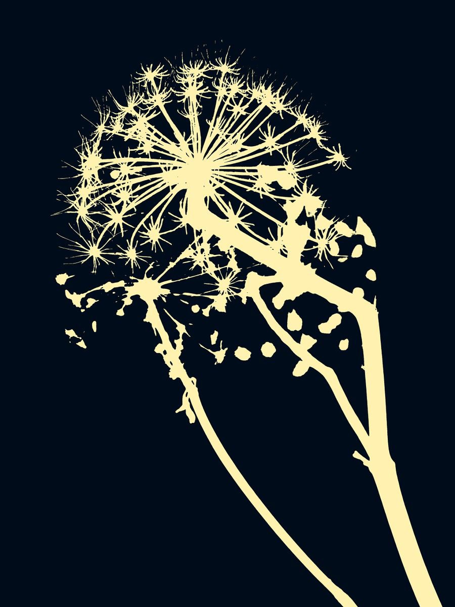 Abstract Botanical Photograph By Petr Strnad, 13 X 17", Quick Notes #1, Original Artwork