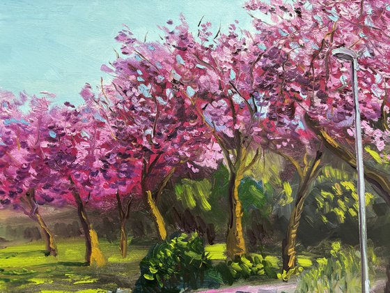 Spring Sakura Alley Plein Air