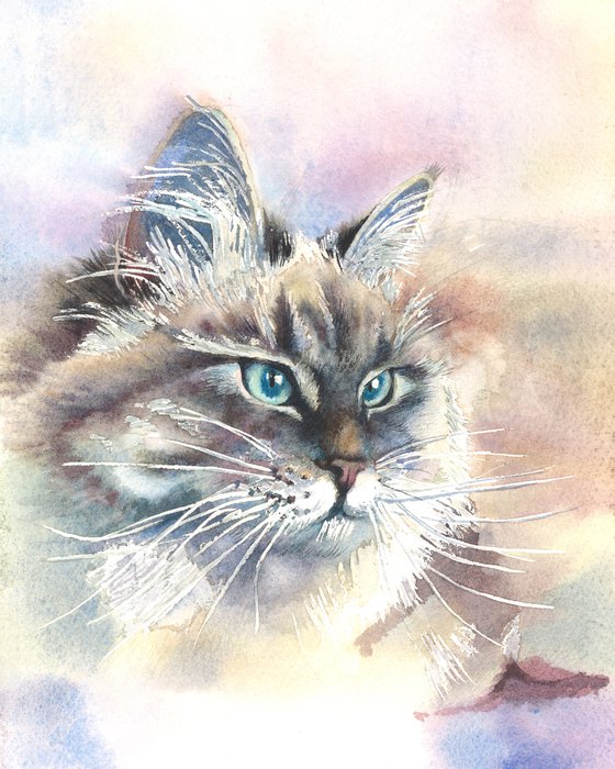 Cat portrait in soft colors