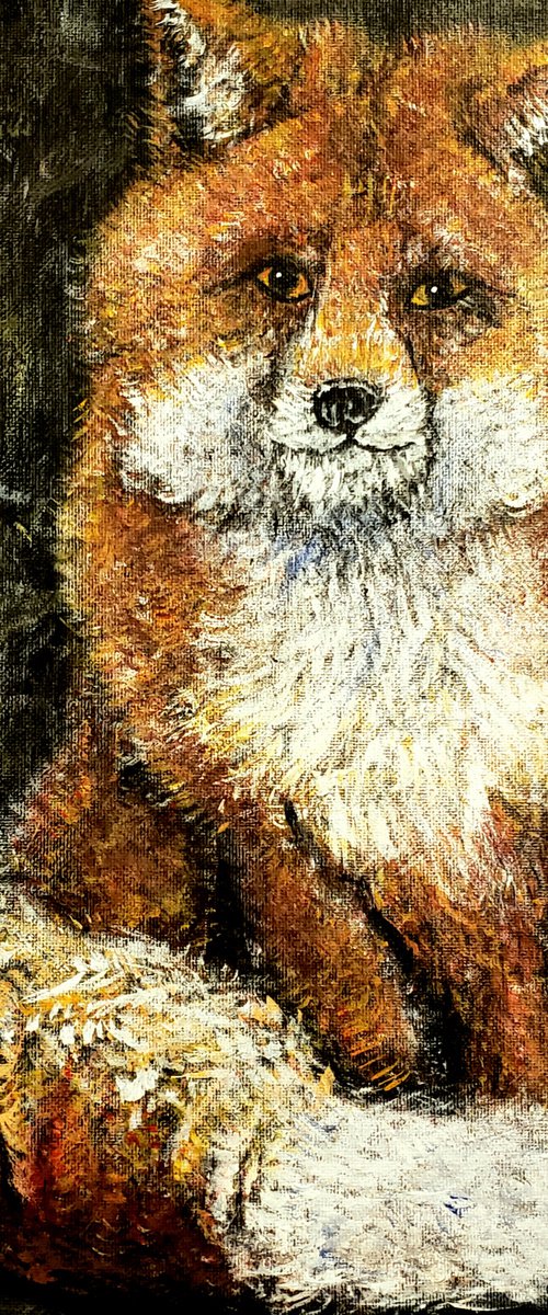 Fox by Robbie Potter