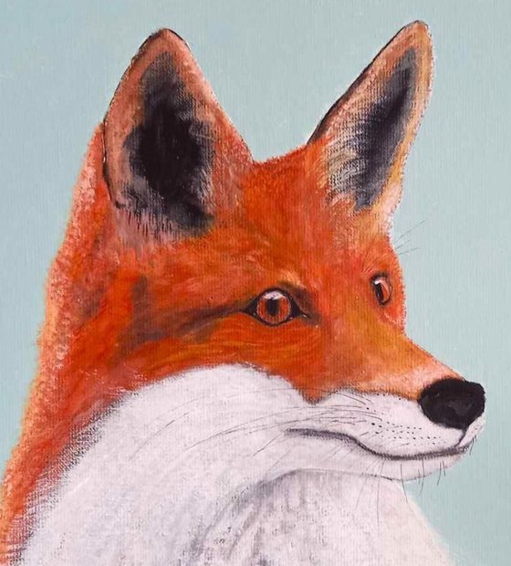 Perfect Portrait Fox
