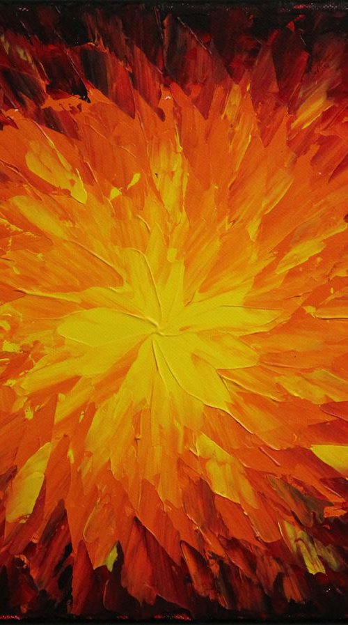 Brightness flamboyant by Jonathan Pradillon